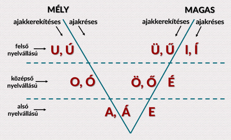 magánhangzók csoportosítása